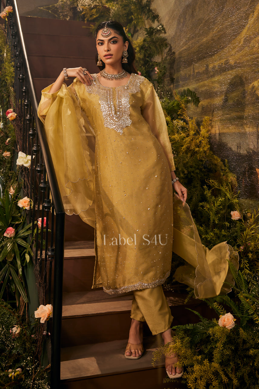 Haseen Tissue-Suit Set