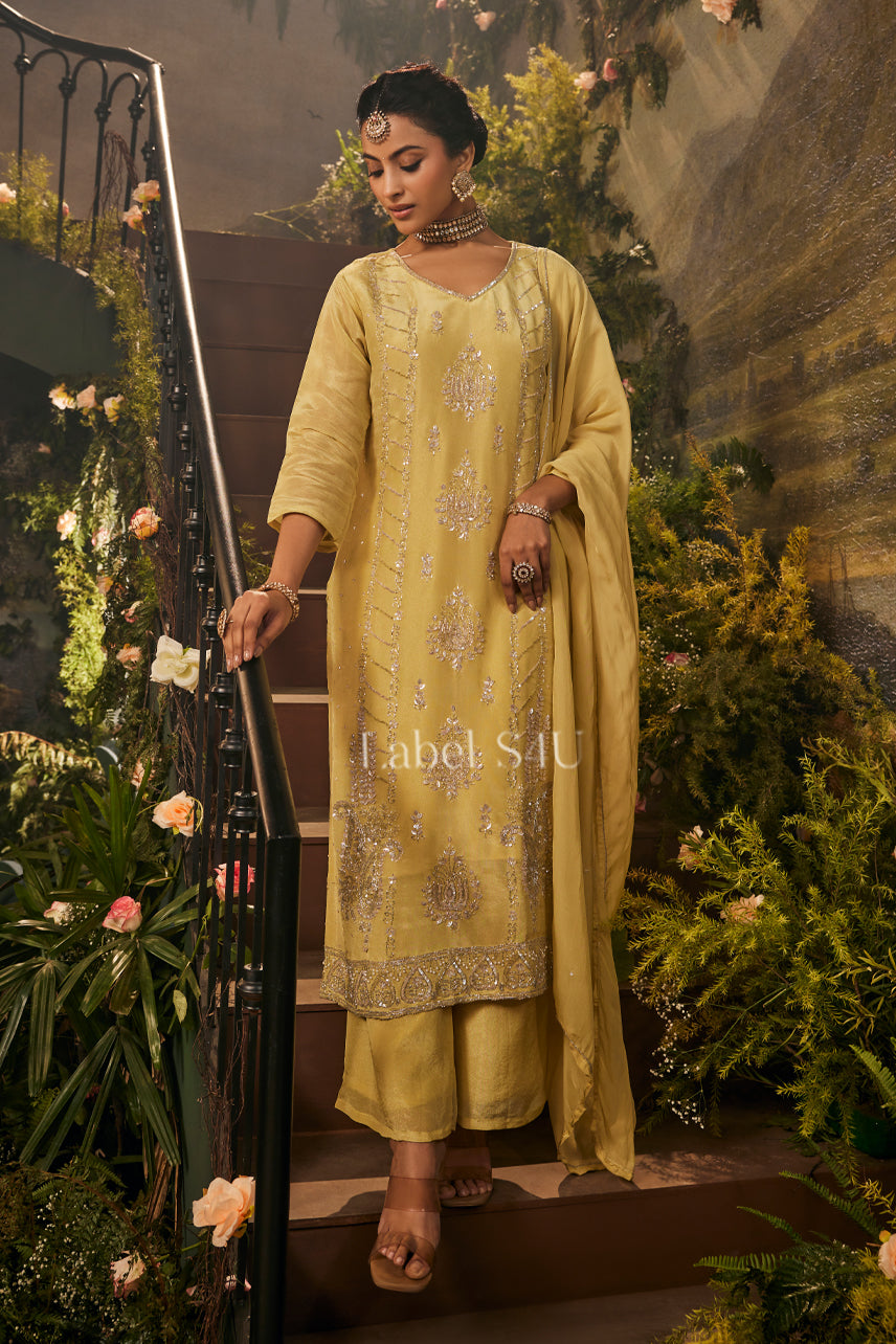 Sahar Tissue Suit Set