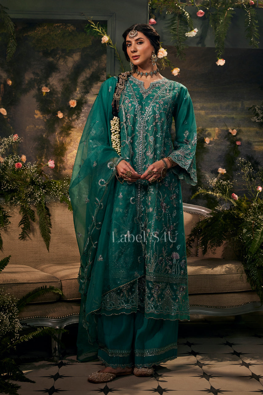 Shahnoor Embroidered-Center Slit Anarkali