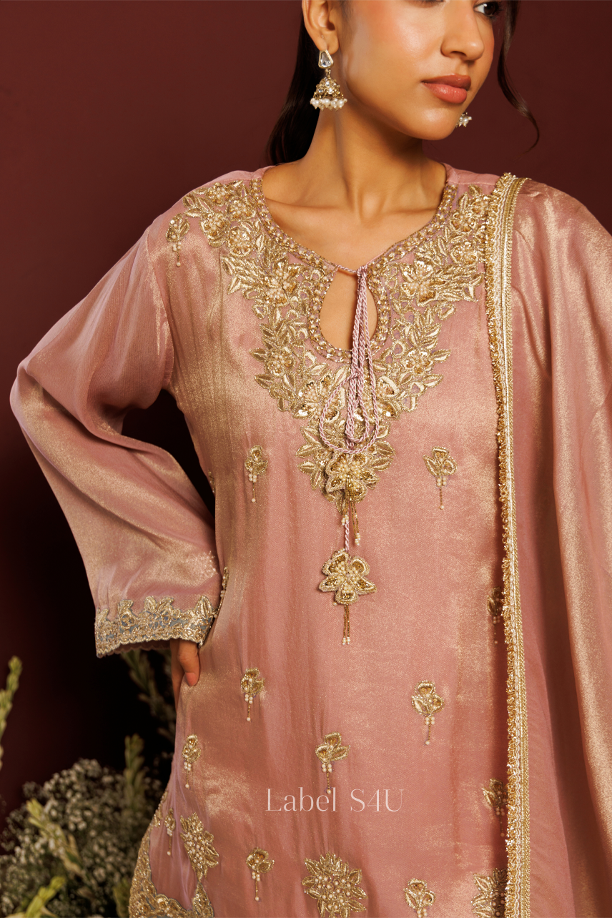 Rosemist Tissue Farshi Salwar Set