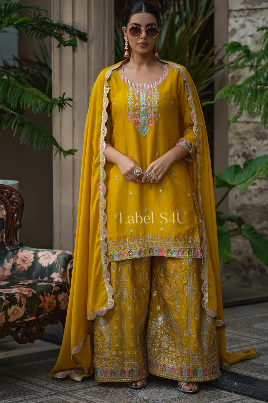 Noor-e-Zari-Palazzo Set