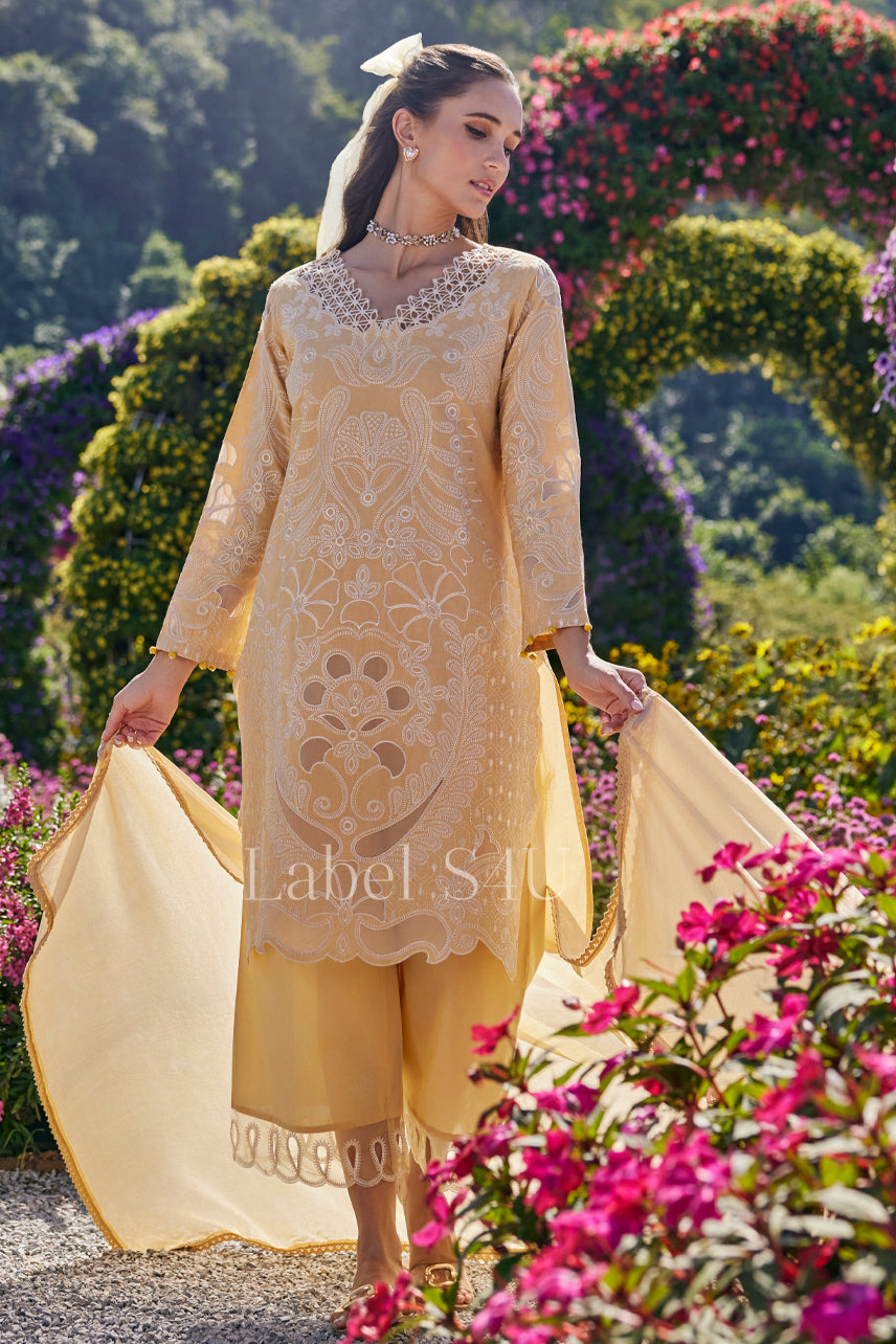 Daylight Elegance Embroidered Suit Set