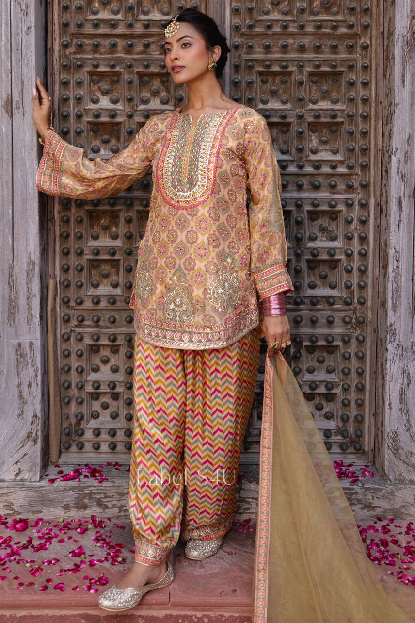 Playful Tissue Farshi Salwar Set