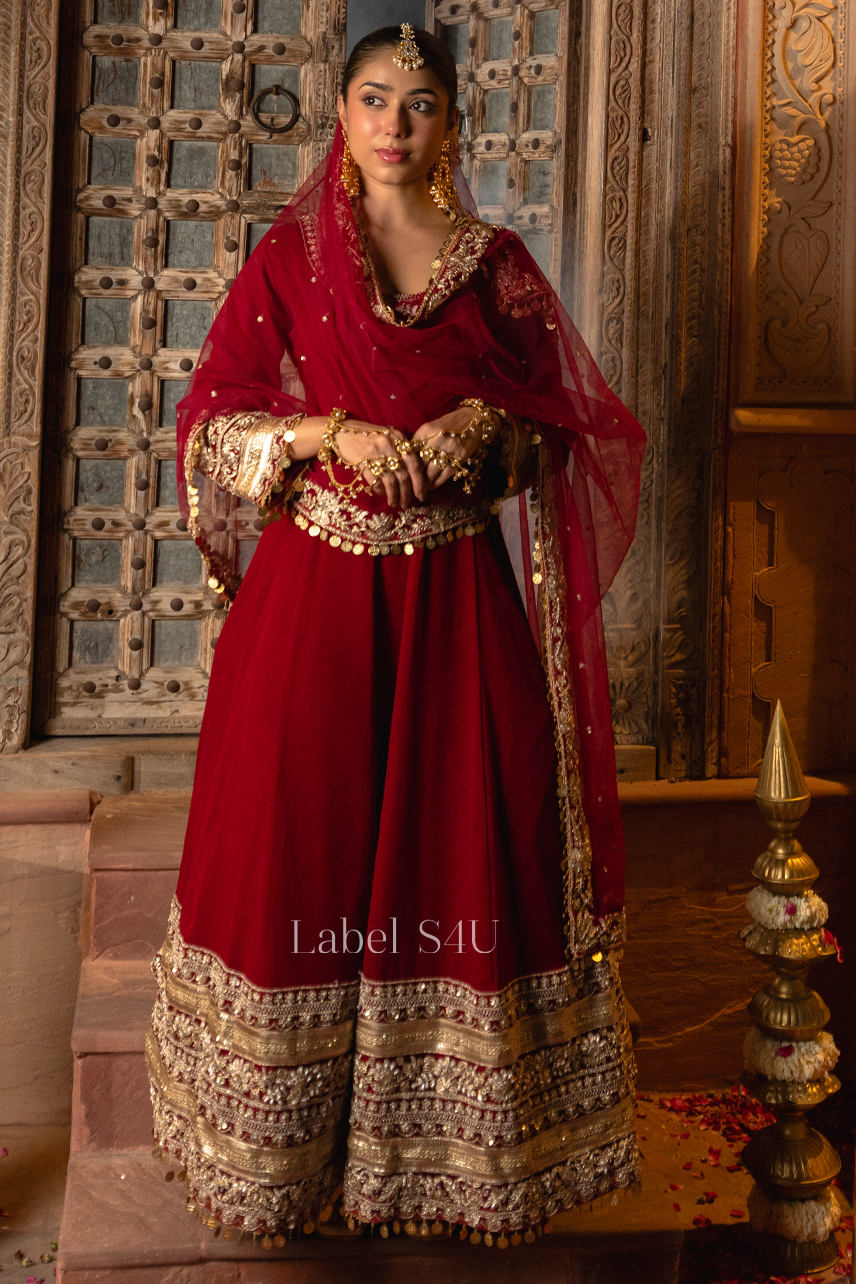 Royal Border Goldwork Anarkali Set