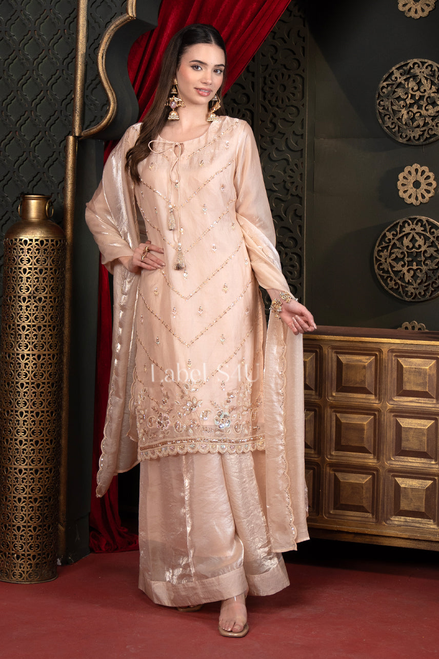 Blush Peach Tissue-Palazzo Set