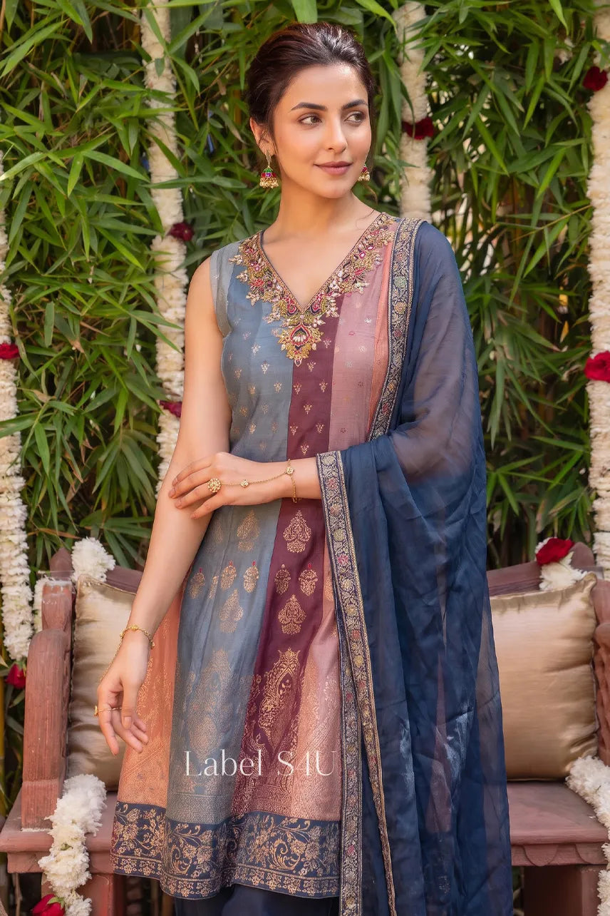 Multitone Embellished Panel Anarkali Set