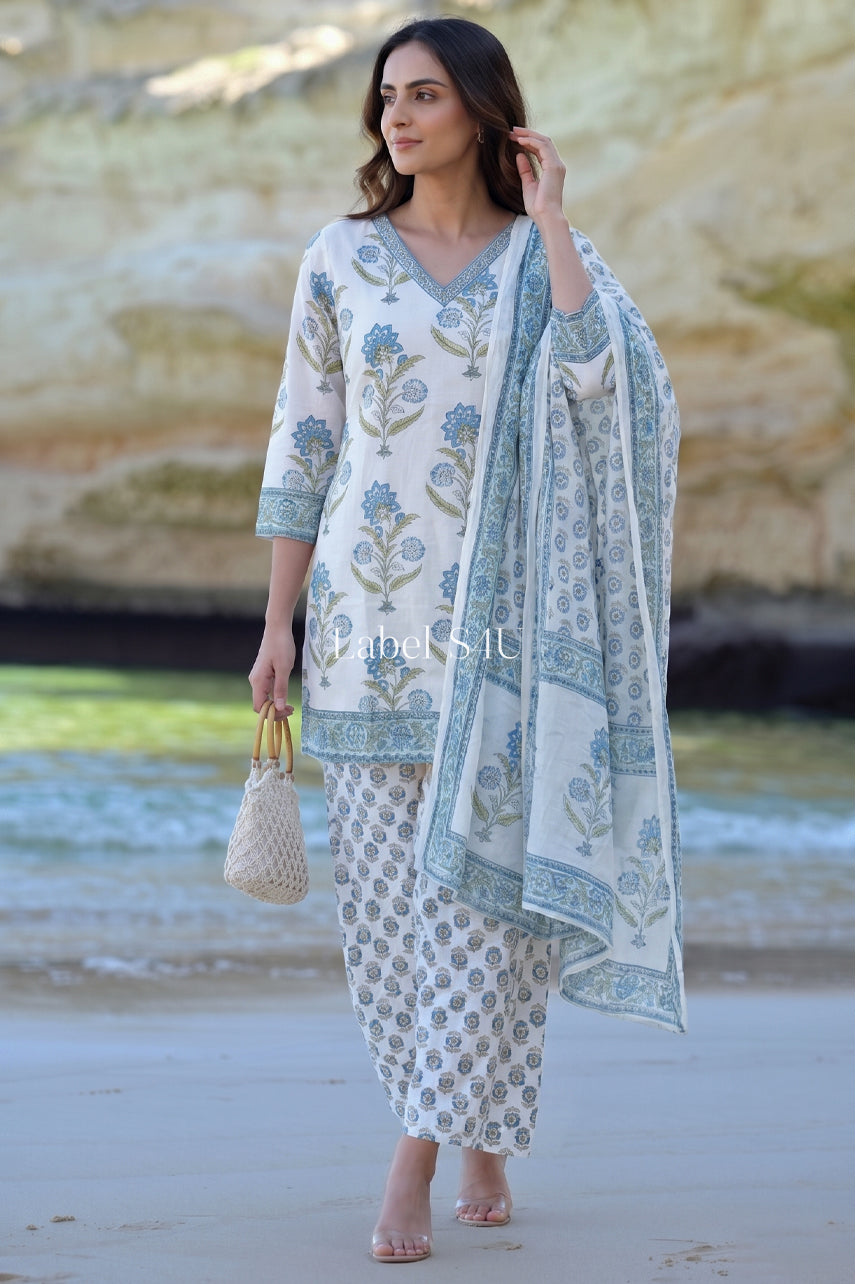 ethnic pakistani dresses Traditional Pakistani Salwar Kameez Suit,Cultural Wear for Women, D0